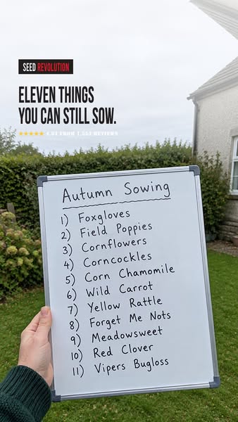 British Native Wildflowers
