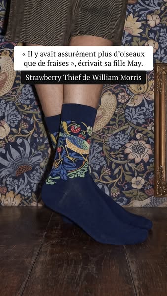 Les oiseaux de Morris en chaussette