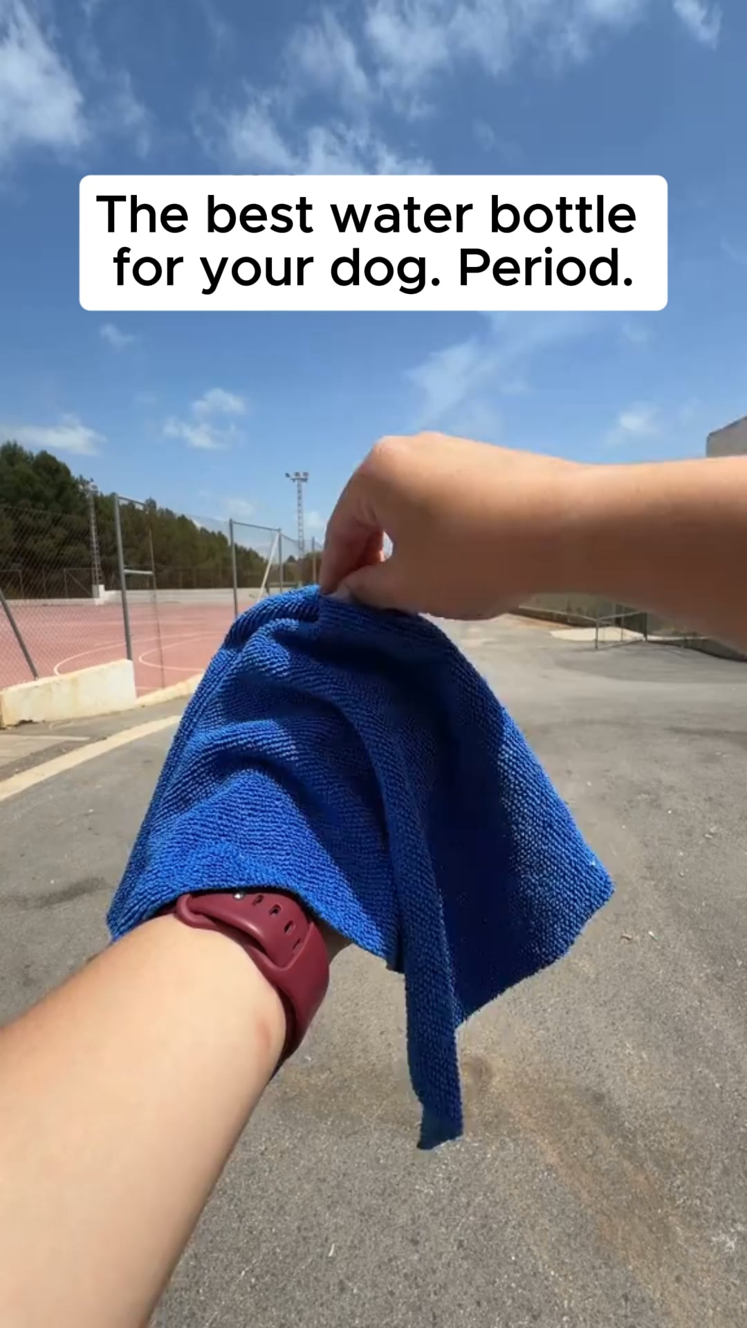 Water for your dog — clipped to your wrist, ready in 3 seconds.