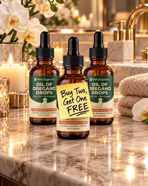 Buy 2, Get 1 Free Today
