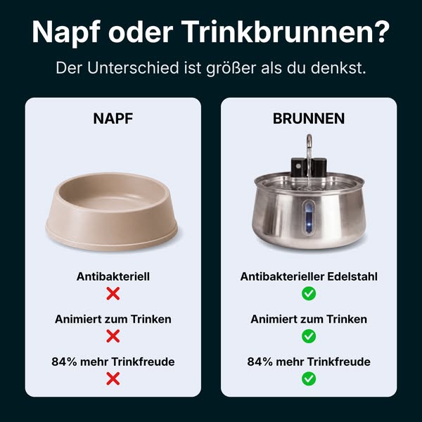 Verdient dein Hund nicht das Beste?