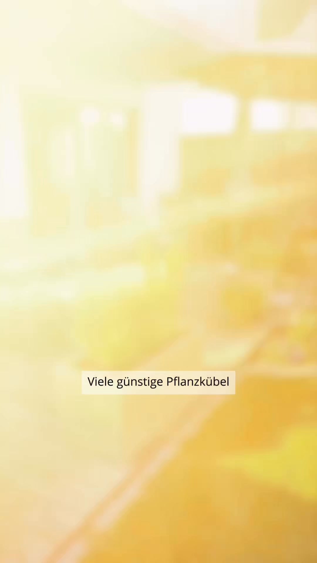 Nicht schon wieder brüchig