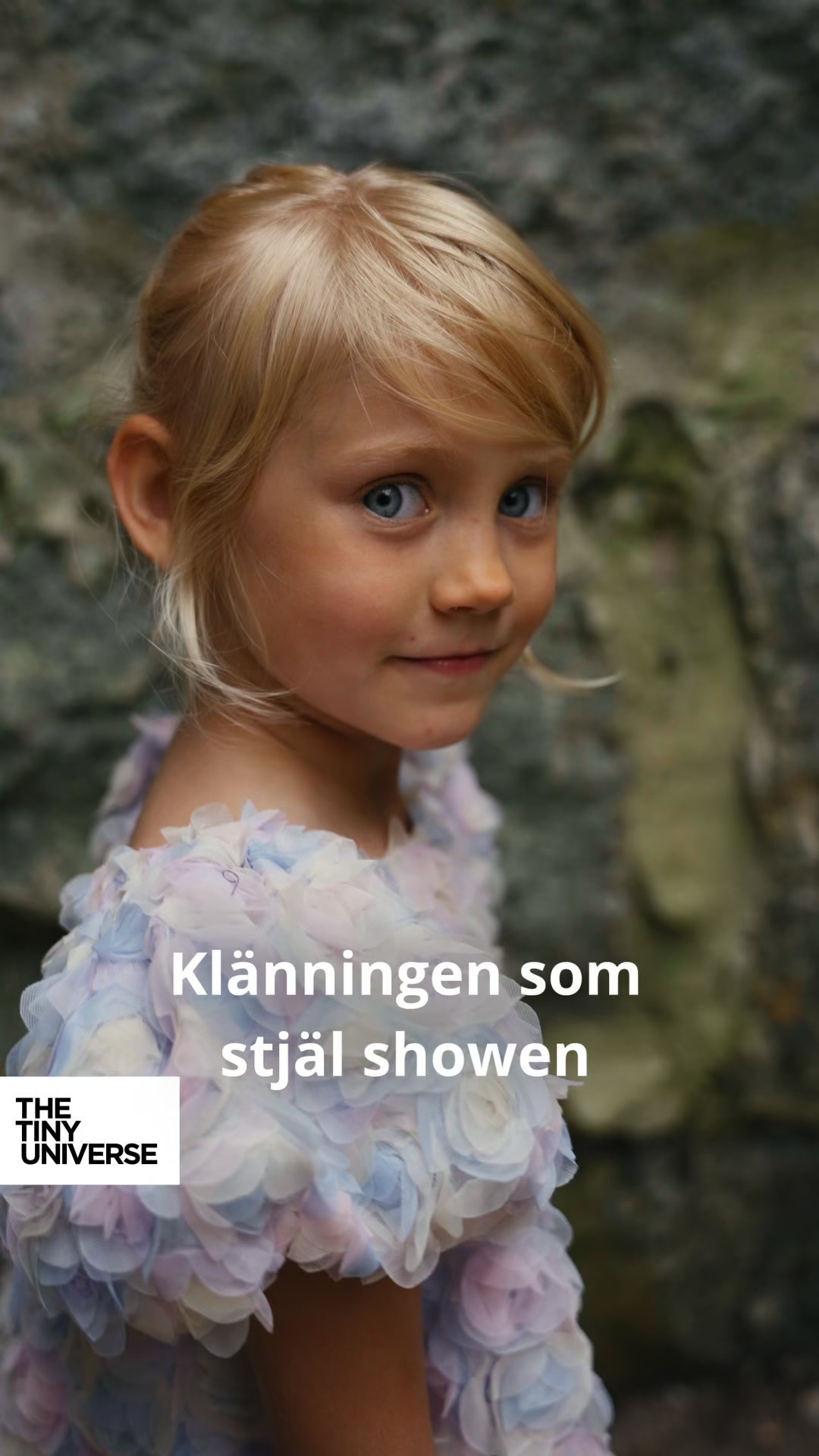Fri frakt på hela kollektionen