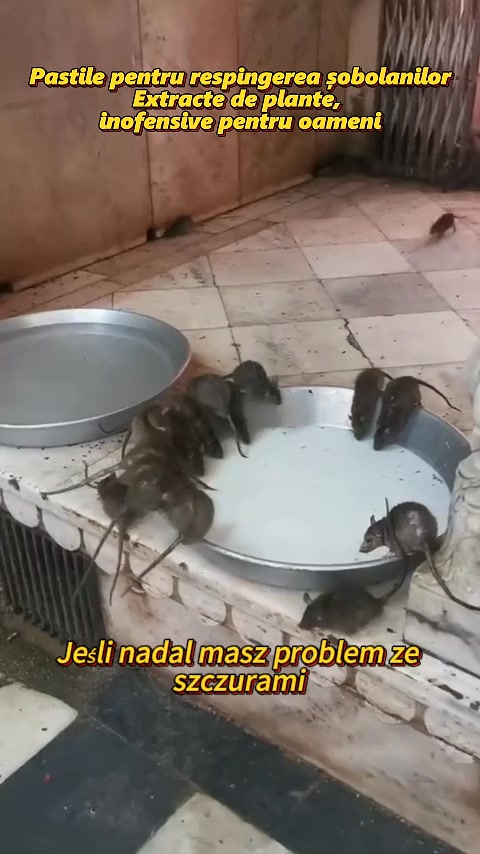 Darmowa dostawa Płatność gotówką przy odbiorze