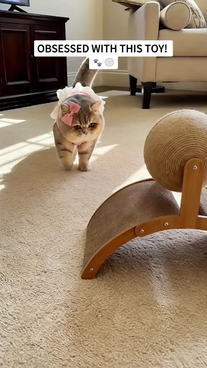 Cat Scratching Ball on Stand