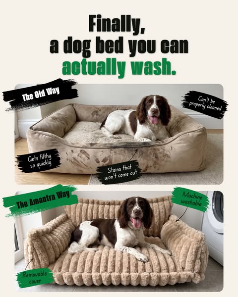 Zip-off, machine-washable cover