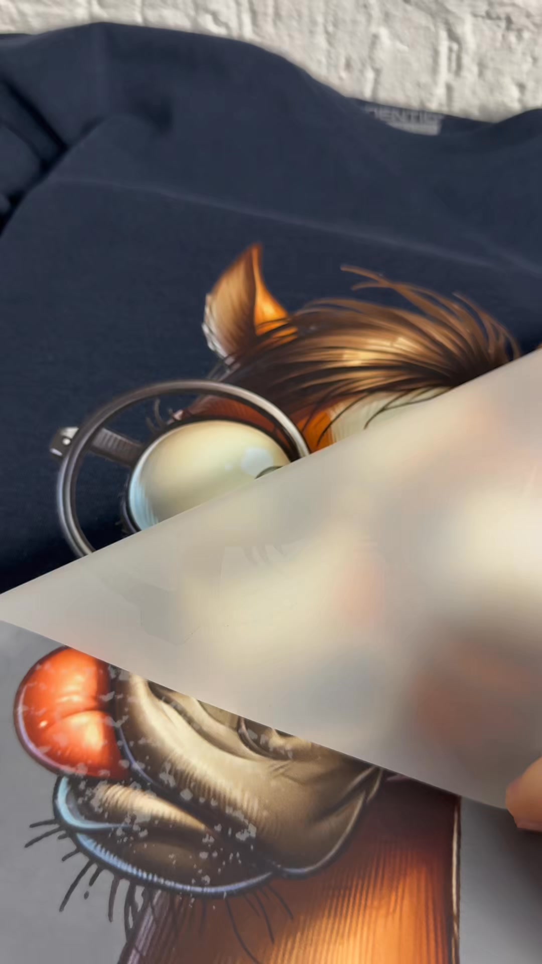 Spare bis zu 50%: Bügelbilder-Highlights!