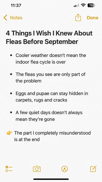 If fleas keep coming back, read this!
