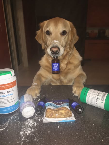 Top Liquid Collagen For Dogs