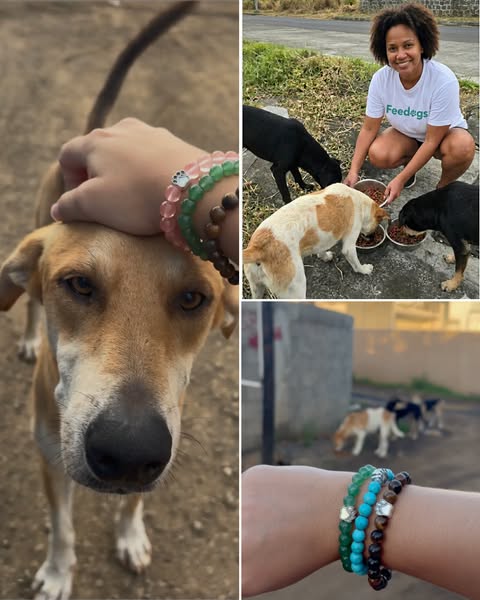1 bracelet = 10 repas ce soir