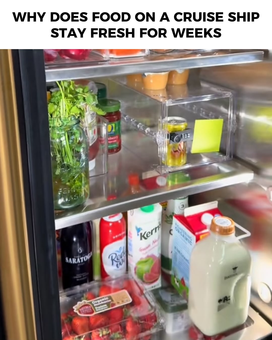 It Makes Food Last 3-5x Longer