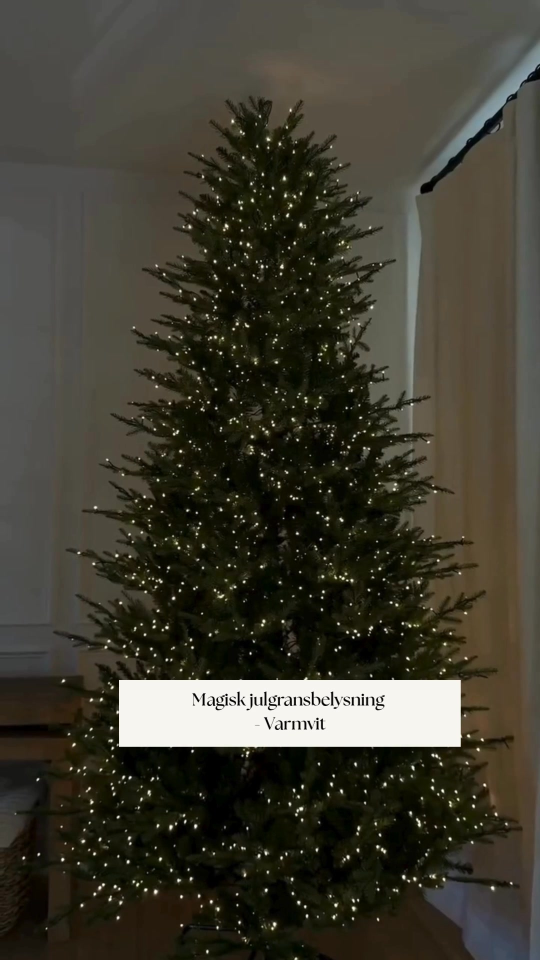 Julgransbelysning