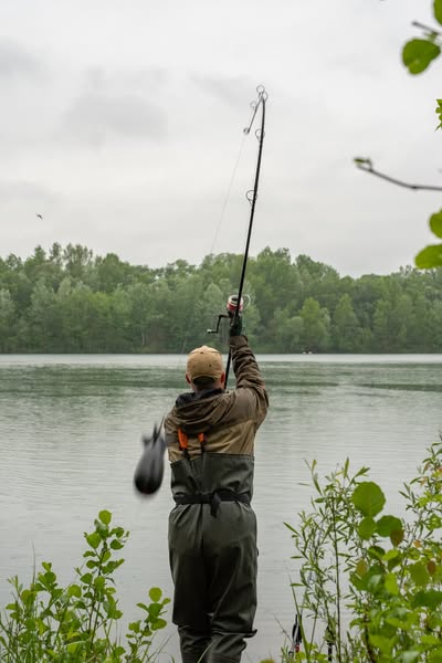 Explore the Forge Rod Range
