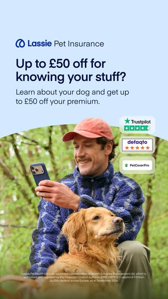 Insure your pet today