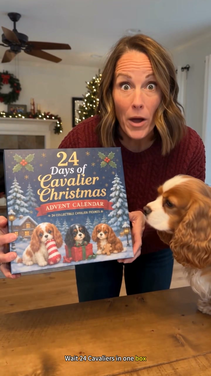 24 Days of Cavalier Joy