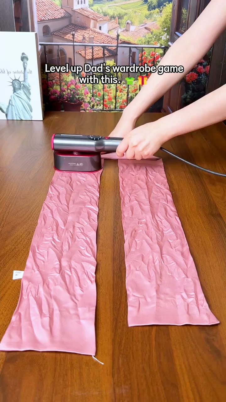 The Ultimate 2-in-1 Travel Steamer!