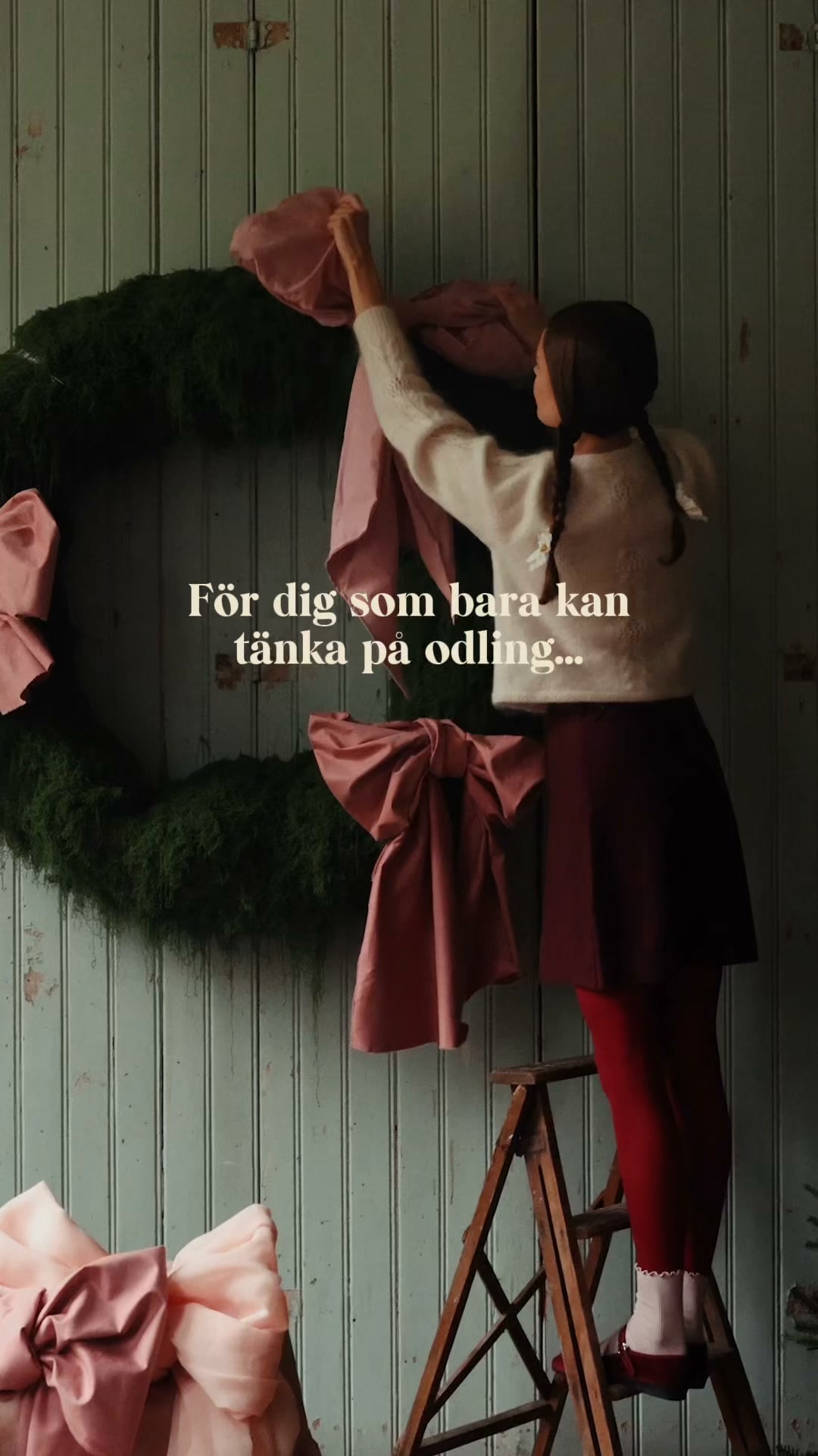 Årets Julkalender är här!