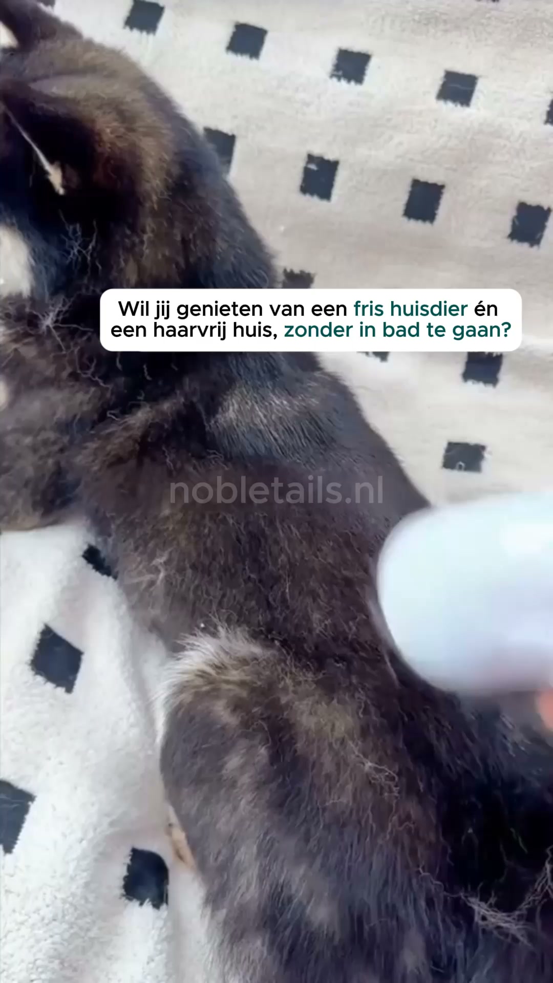 Zeg vaarwel tegen badstress en losse haren