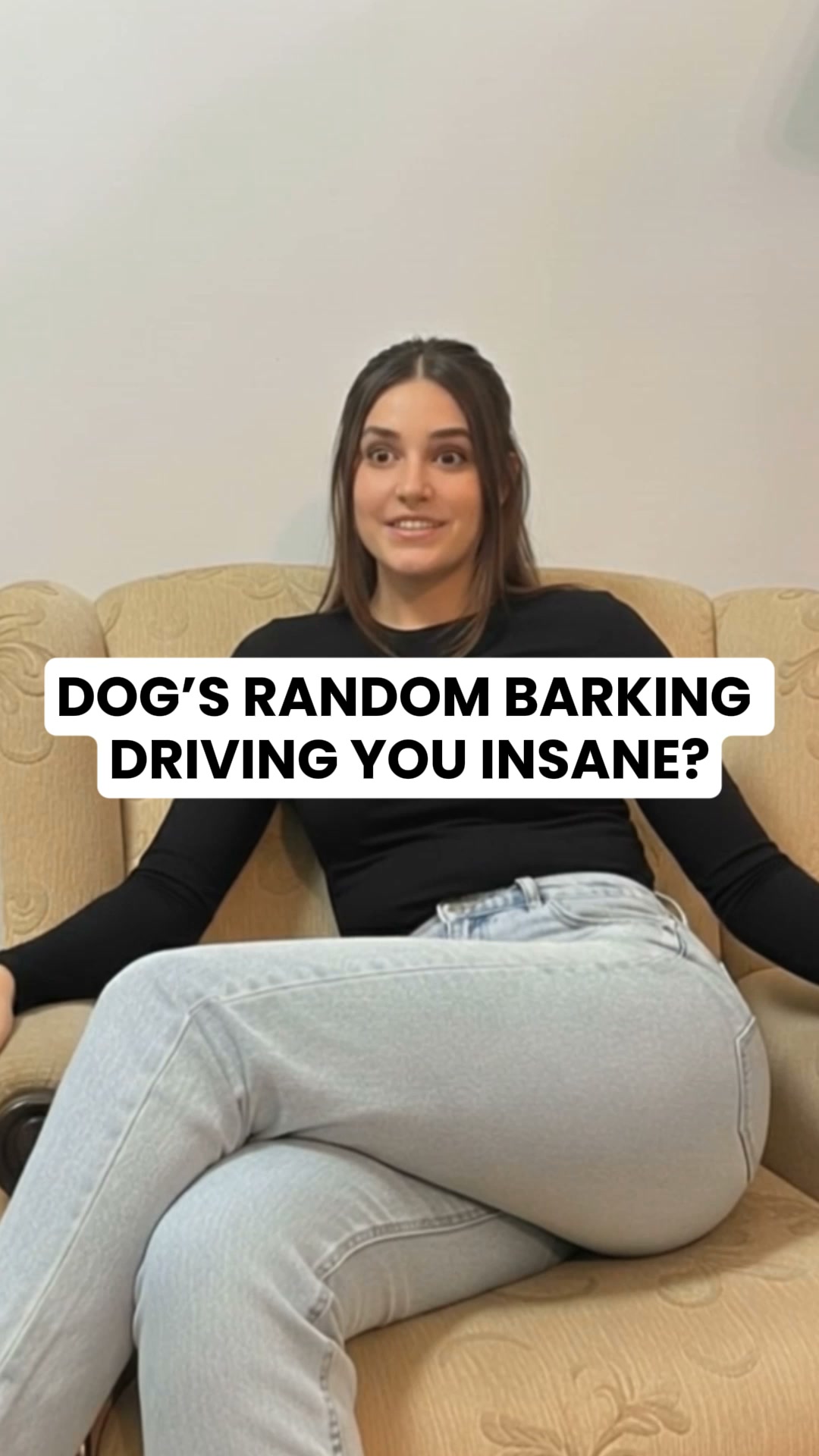 A New Way to Calm Noise-Anxious Dogs, 24/7