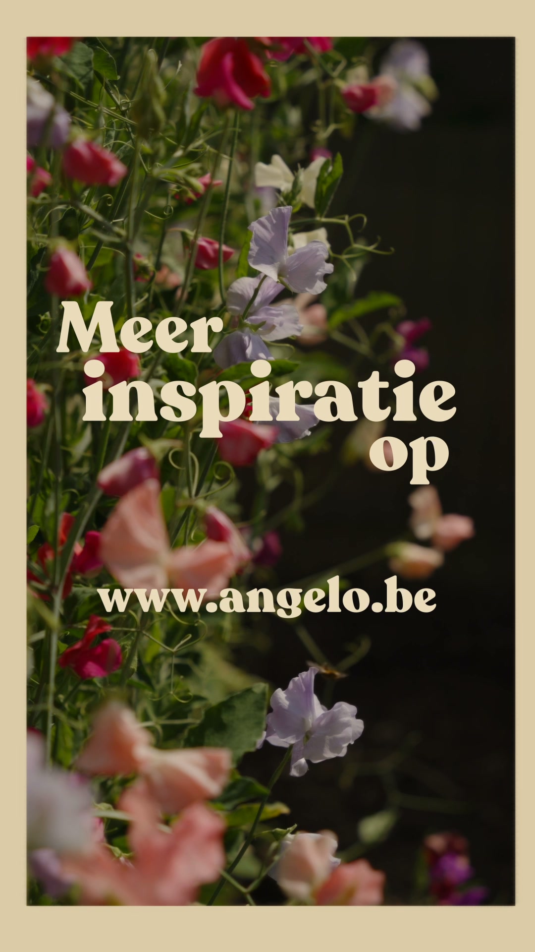 Laat je verleiden