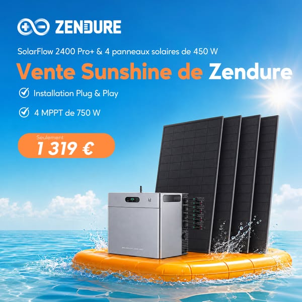 SolarFlow 2400 Pro & 4*450W丨1 319 €