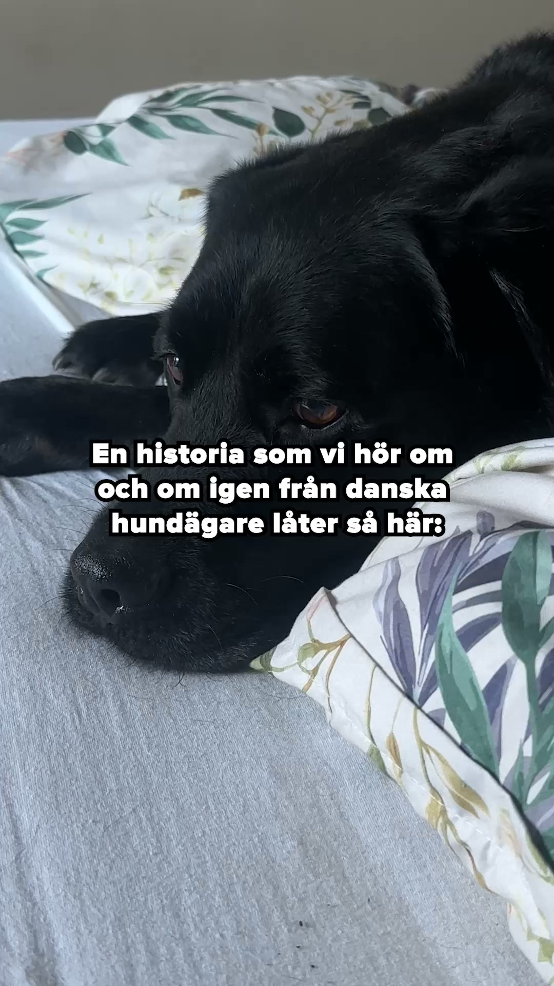 Om Du Känner Igen Några Av Dessa Tecken, Så Prova Detta Effektiva Godis