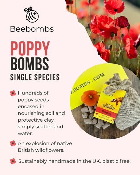 Poppy Bombs for you and the bees