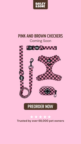 Pre-order: Pink And Brown Checkers