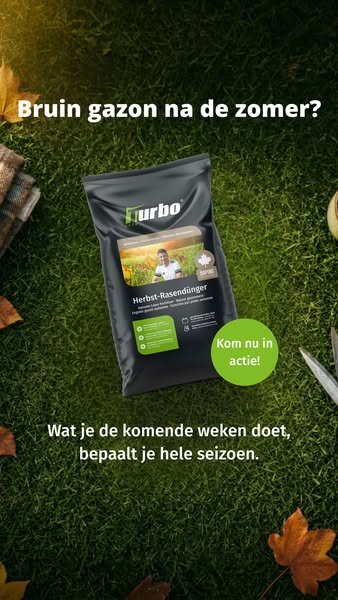 Je gazon redden na de zomer