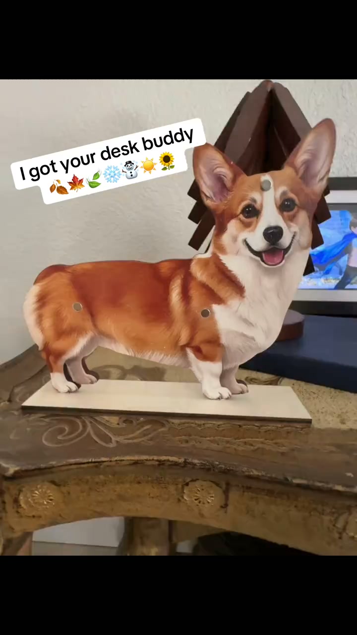 The Cutest All-in-One Dog Decor