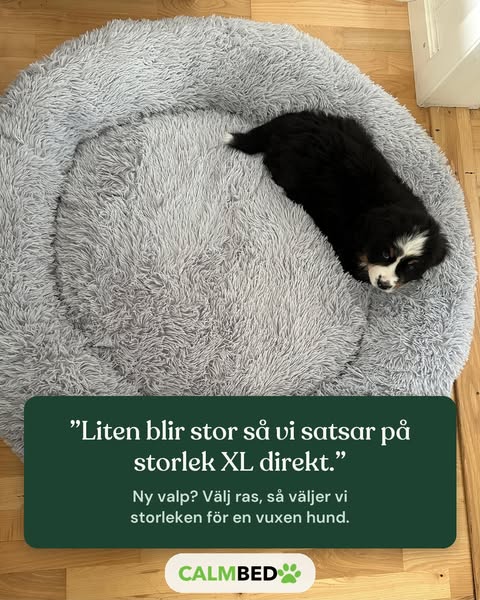 Rätt storlek till din valp