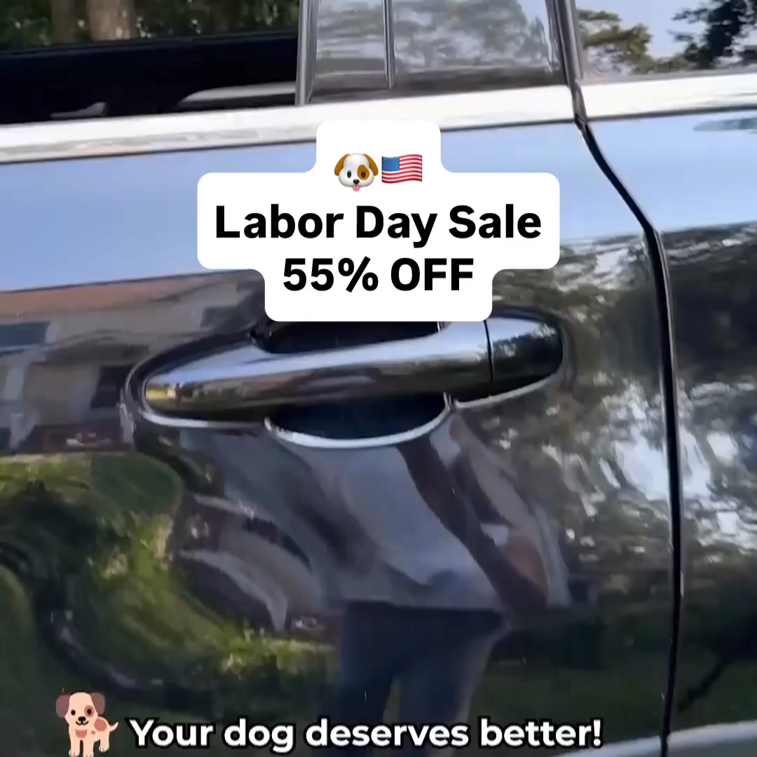 Safe & Comfy Rides in 1 Easy Step