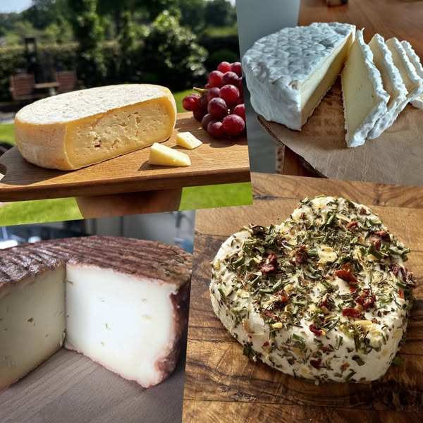 Käse wie bei Erika