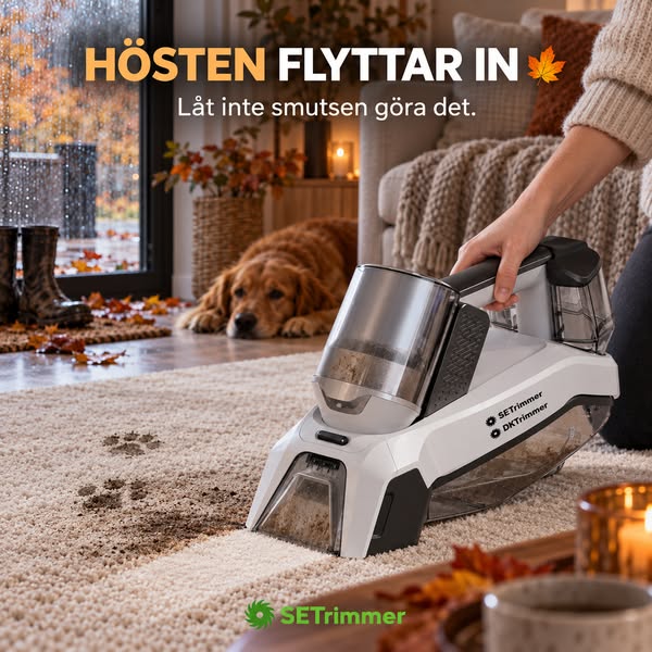 Fräscha upp mattan