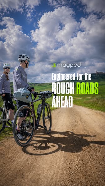 magnetic bike pedals
