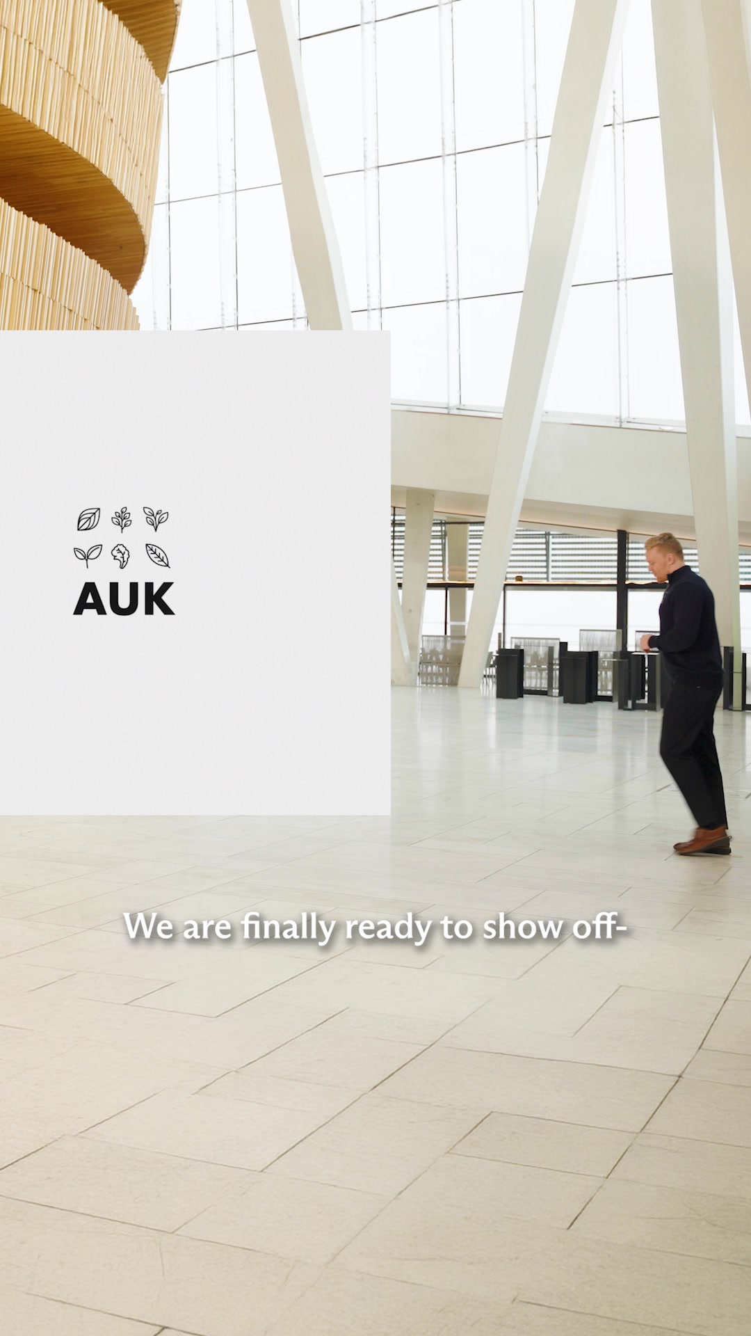 Auk Mini 2