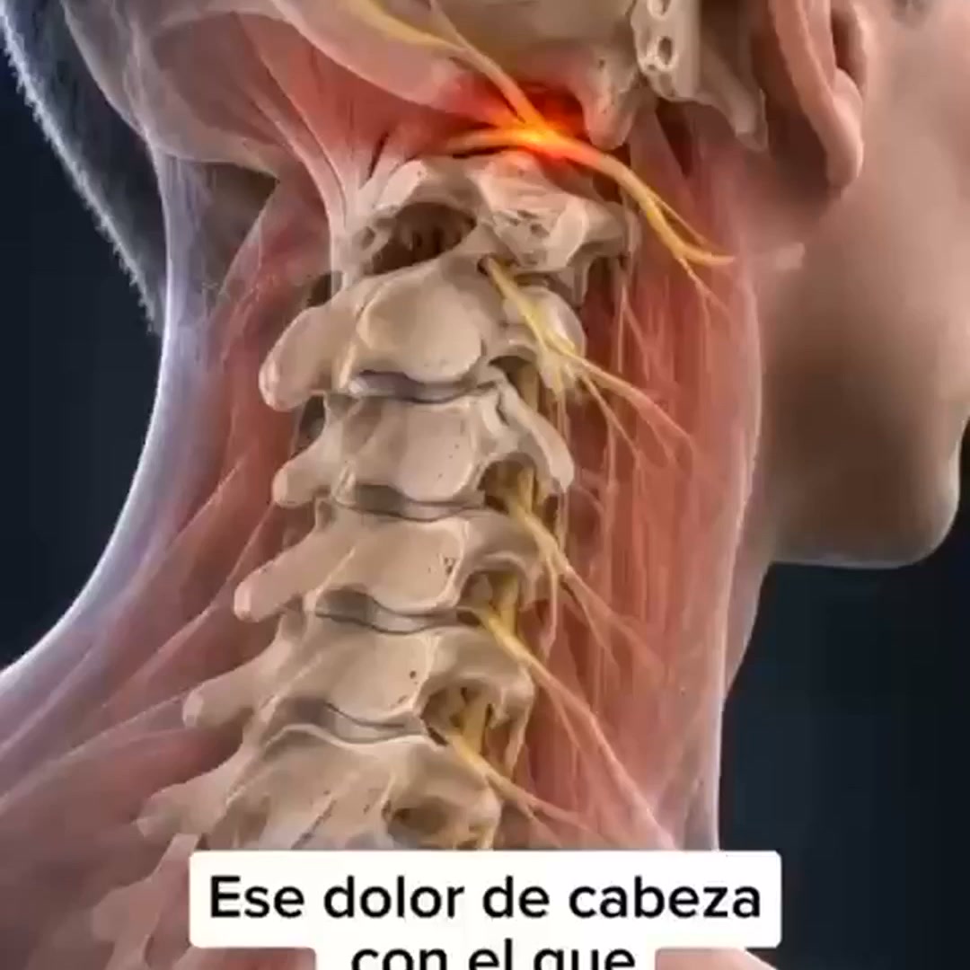 Dale a tu cuello el soporte que necesita