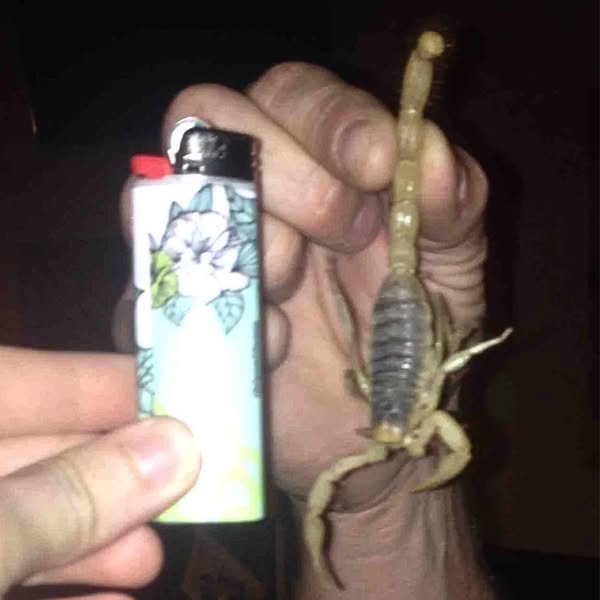 I Kept Spraying Until Something Else Paid the Price.