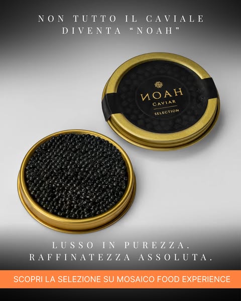 Caviale Noah