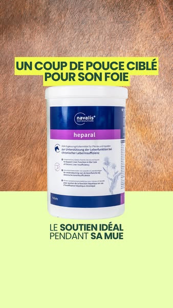 Et son foie dans tout ça?