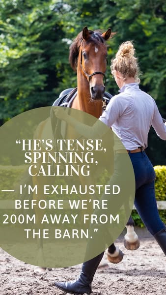 Works for every horse
