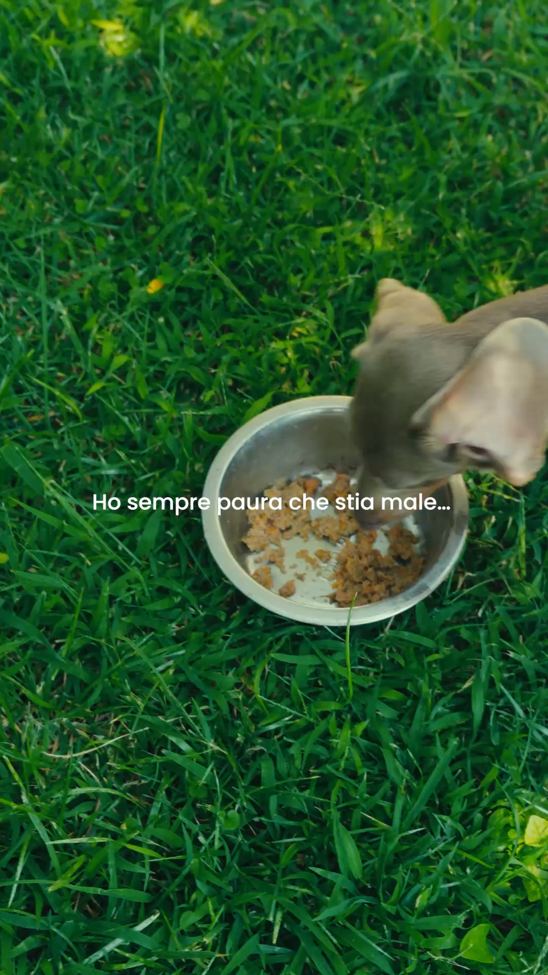 Ridagli la calma