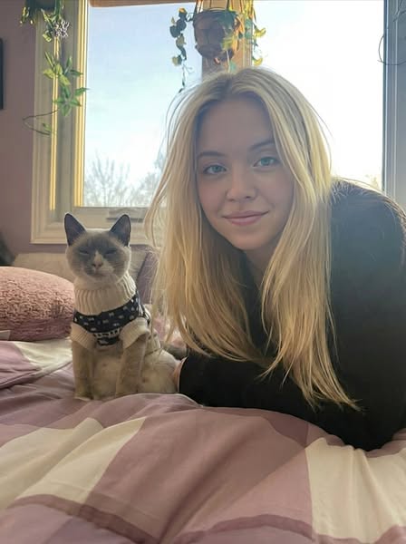 La nourriture de mon chat était en train de le tuer lentement. Je n'en avais aucune idée.