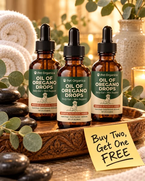 Buy 2, Get 1 Free Today