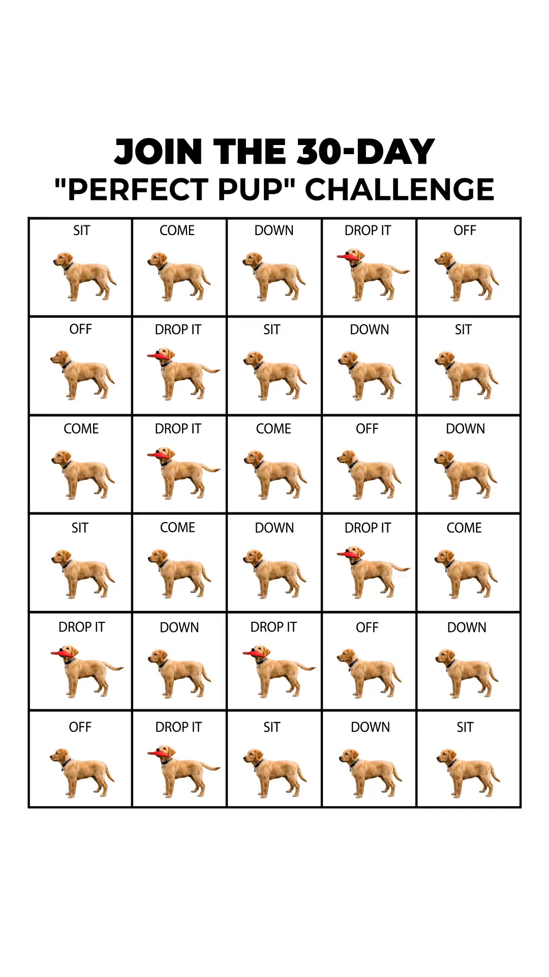 Professional Dog Training Made Simple