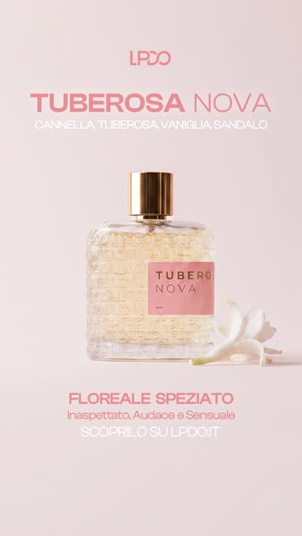 Spedizione Gratuita