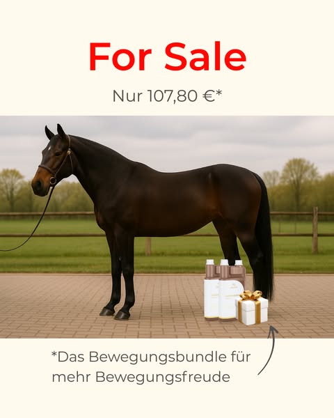 Günstiger wirst du es nicht bekommen