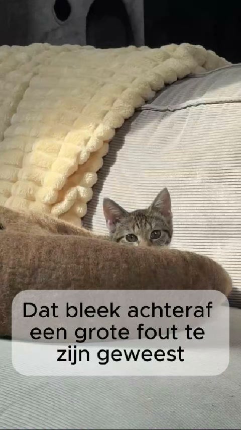 Eén mandje bestellen was een fout...