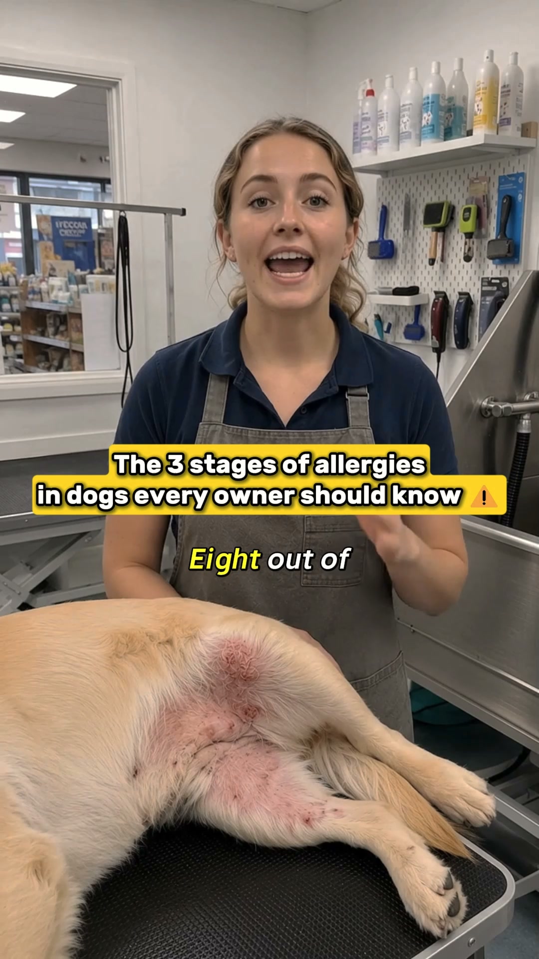 8 In 10 Dogs Go Through All Three