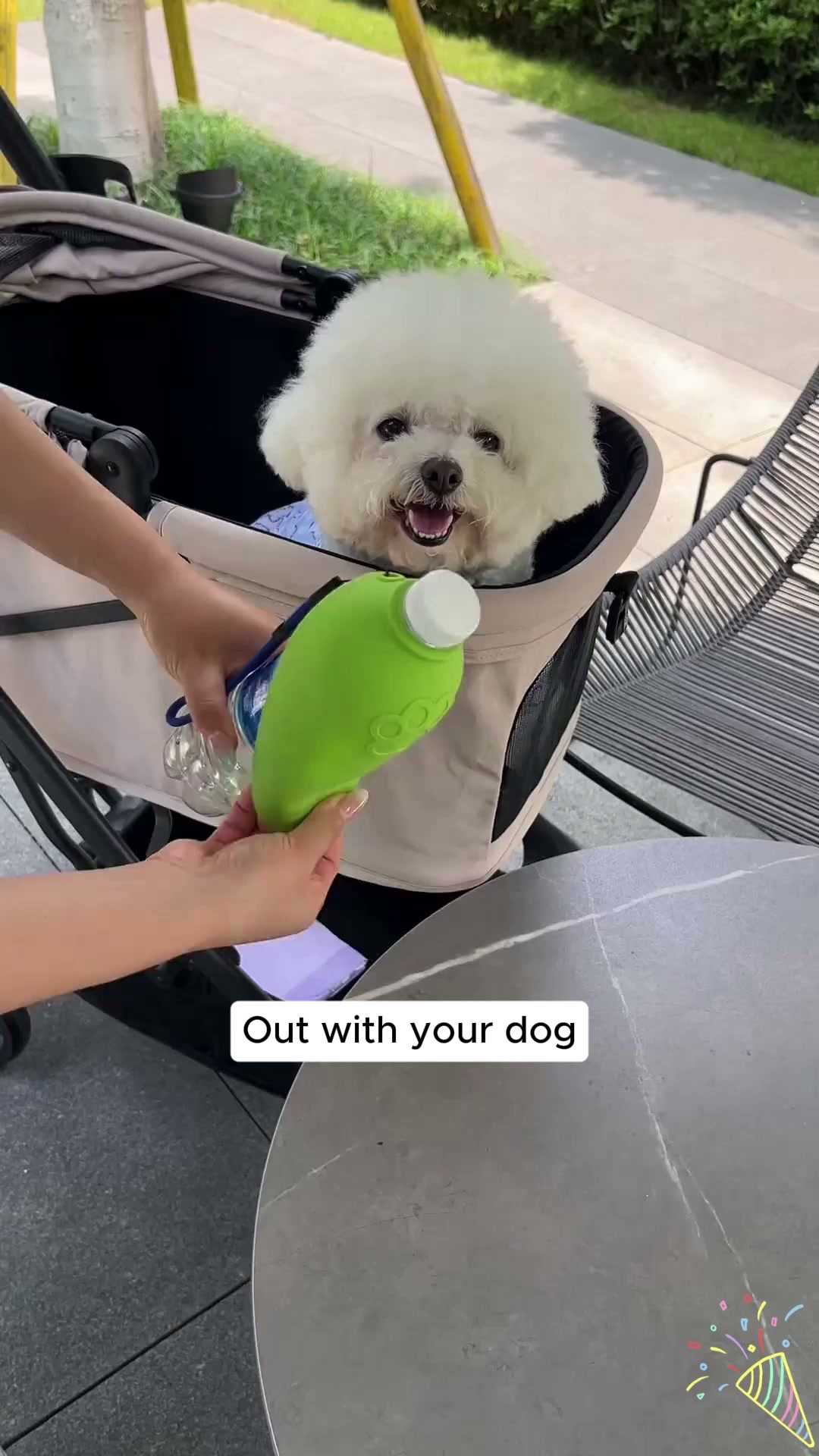 Hydration On The Go For Your Pup
